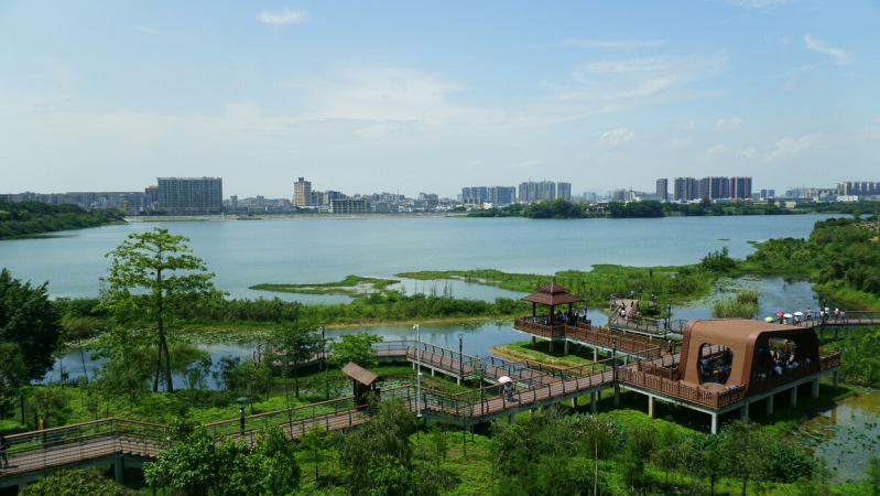 盤點(diǎn)深圳十大最美公園，你最愛(ài)的是哪個(gè)公園？